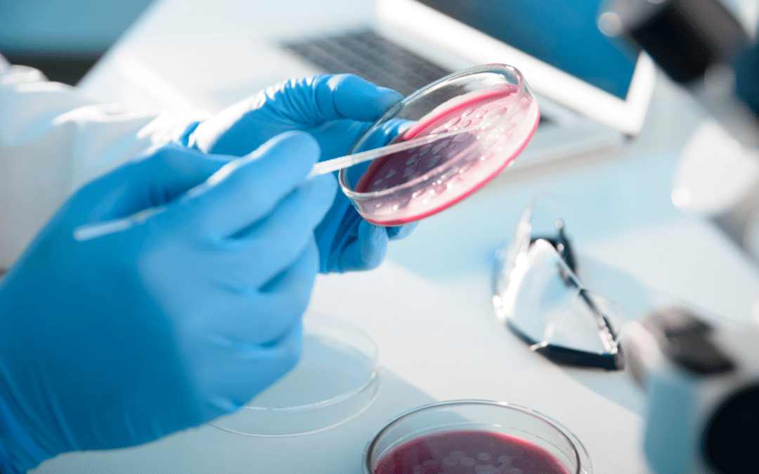 Lab technician working in a microbiology lab